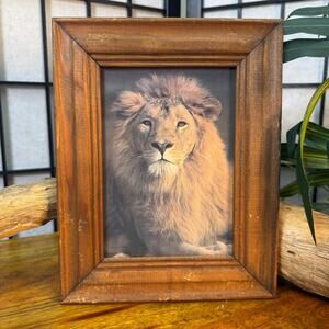 Vintage Lion Print Framed Rustic Frame Animal Safari Decor King of the Pride